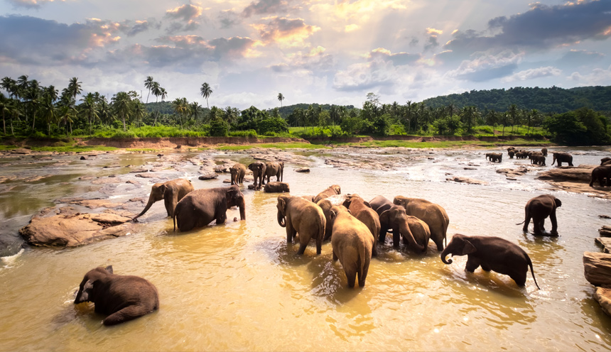Tour dello Sri Lanka e Maldive Tour dello Sri Lanka e Maldive