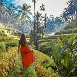 Agosto a Bali: Singapore, Ubud e Gili Trawangan