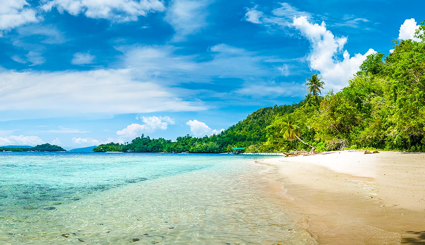 Spiaggia tropicale