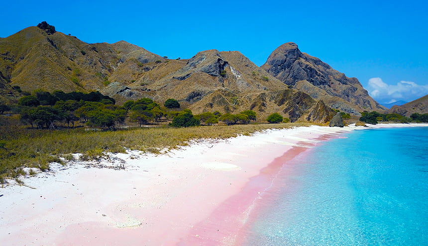 In primo piano una lunga spiaggia rosa che dall'angolo in basso a sinistra taglia la foto.