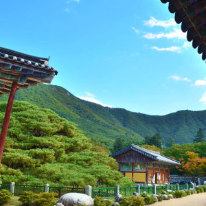 Temple stay nella provincia di Gangwon