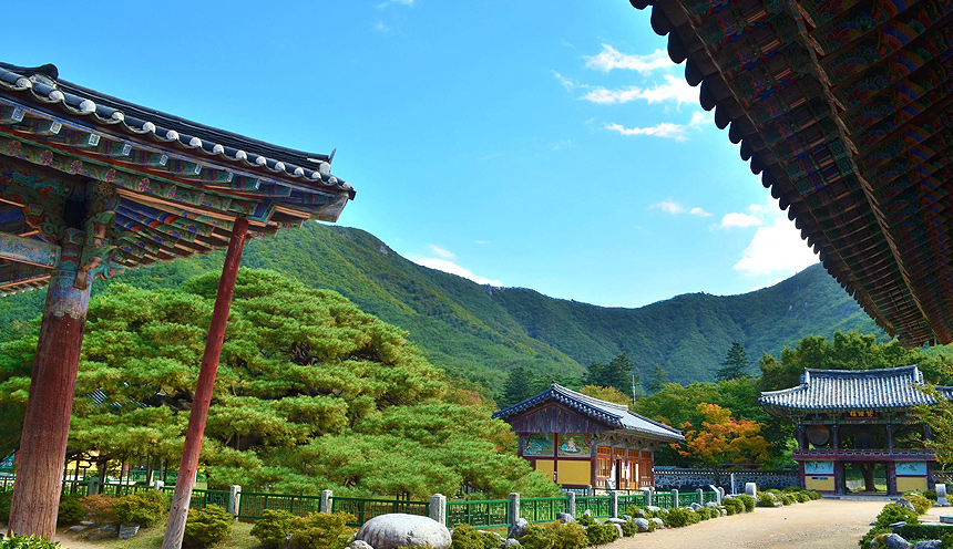 Temple stay nella provincia di Gangwon Temple stay nella provincia di Gangwon