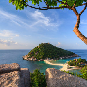 Koh Tao, l'isola delle tartarughe