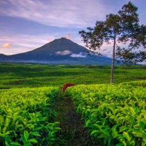 Tra i vulcani più belli dell’Indonesia
