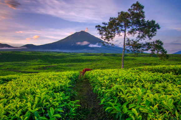 Tra i vulcani più belli dell’Indonesia