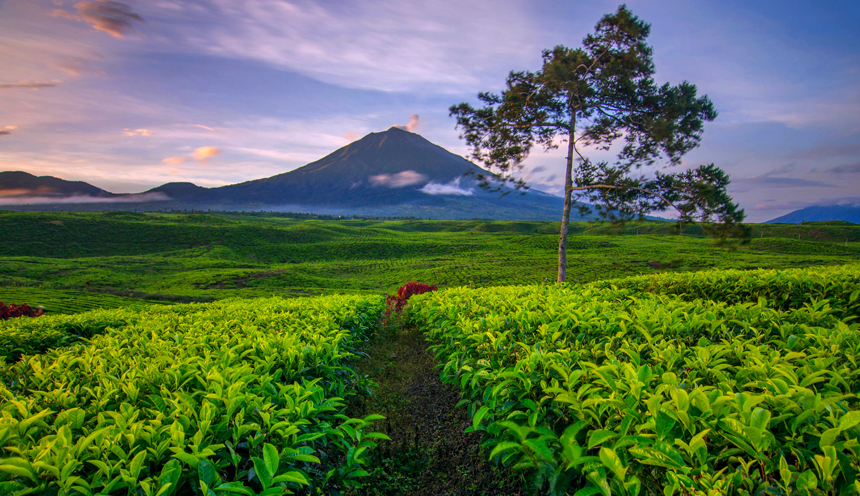 Tra i vulcani più belli dell’Indonesia