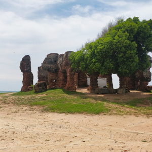 Tour dell'isola di Mannar in Sri Lanka