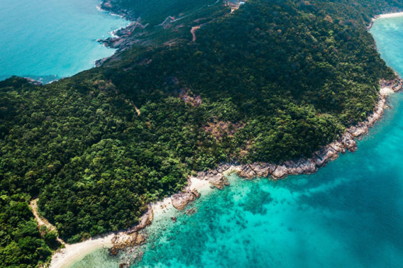 Isole Perhentian, tra tartarughe, macachi e dragoni.