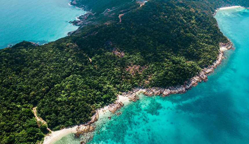 Isole Perhentian, tra tartarughe, macachi e dragoni.