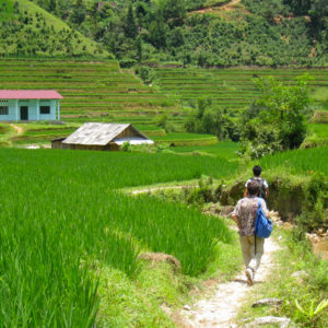 La natura selvaggia dell'estremo  nord del Vietnam