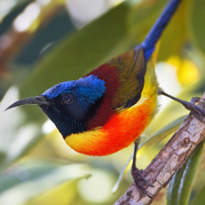 Sul tetto della Thailandia: il Parco Nazionale di Doi Inthanon