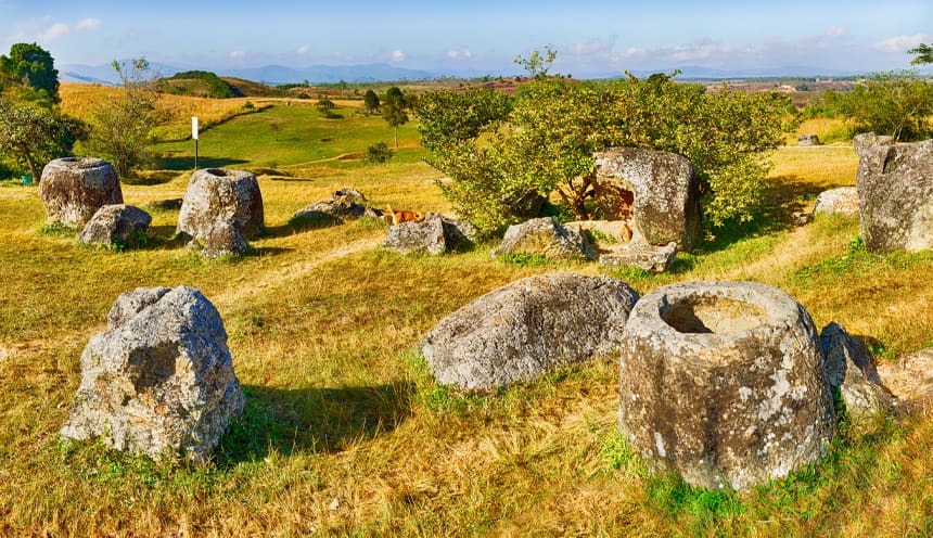 Diverse giare in pietra, aperte, disseminate in un campo erboso dai colori gialli e verdi e qualche albero.