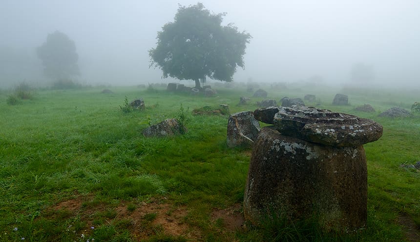 Una giara ancora con coperchio circolare in un prato verde coperto dalla nebbia da cui si vede un albero.