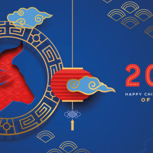 Il Capodanno Cinese e l'anno del Bufalo