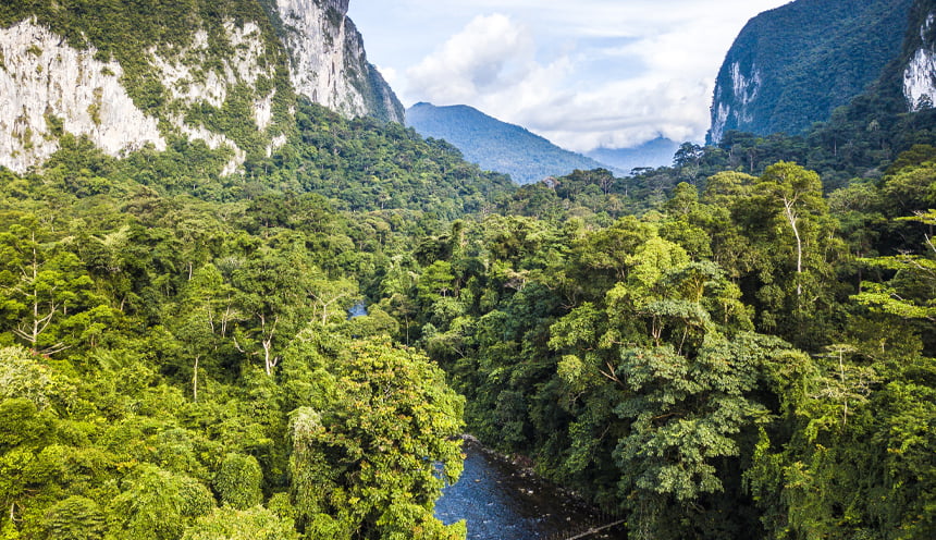 Foto panoramica del parco nazionale