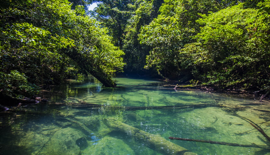 La vegetazione del parco nazionale