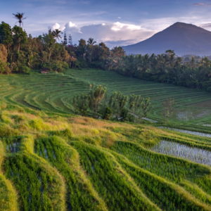 Trekking a Bali