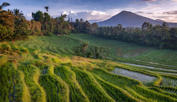 Trekking a Bali