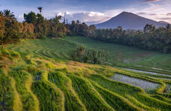 Trekking a Bali