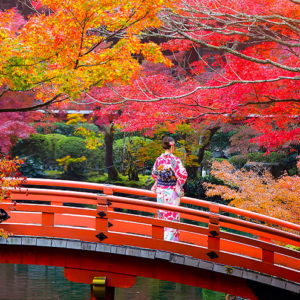 Speciale Momiji