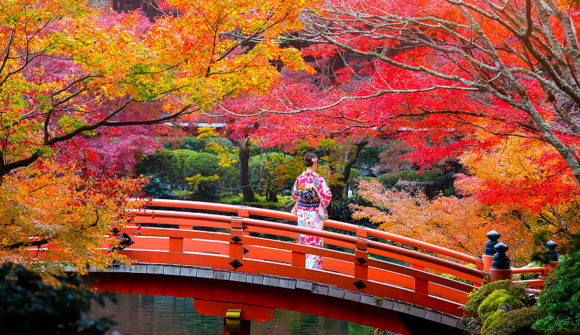 Speciale Momiji