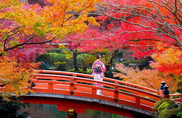 Speciale Momiji